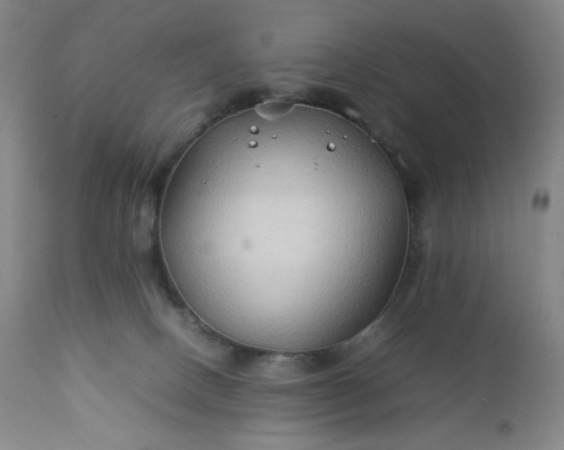 X0000112210082200908211528