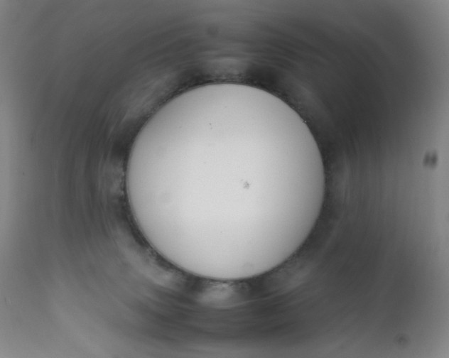 X0000112210083200908211528