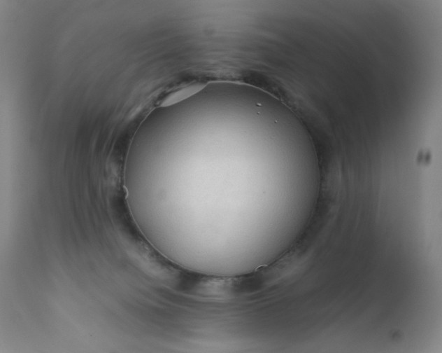 X0000112210084200908211528