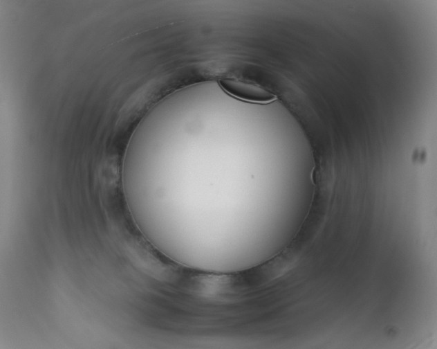 X0000112210085200908211528