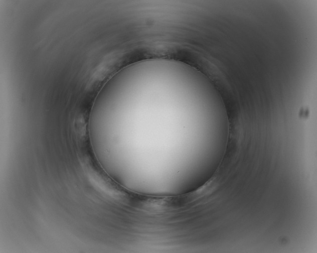 X0000112210086200908211528