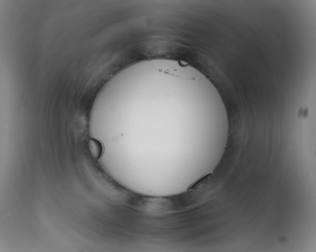 X0000112210087200908211528