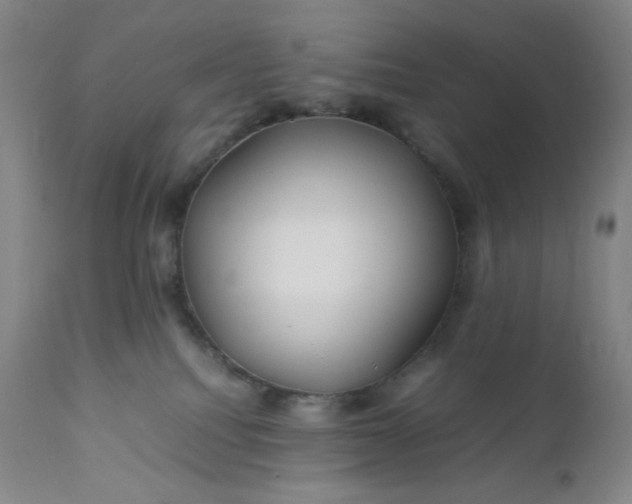 X0000112210088200908211528