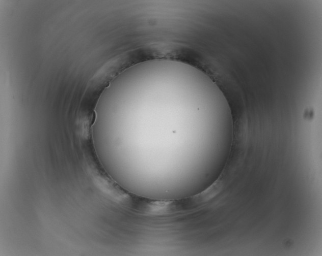 X0000112210090200908211528