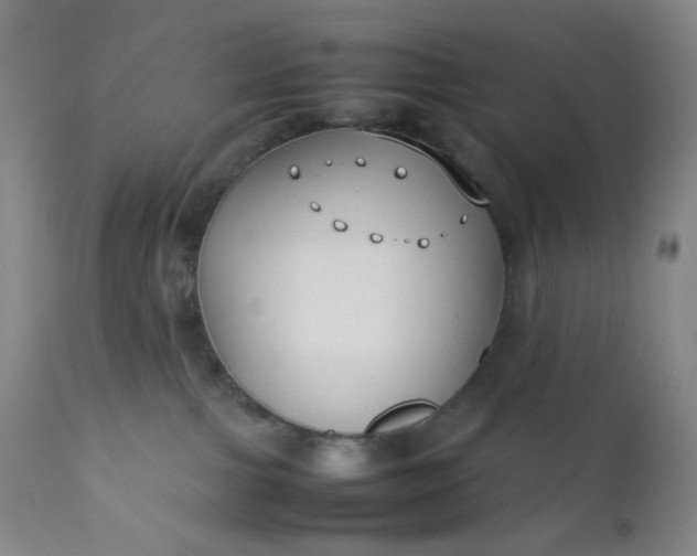 X0000112210091200908211528