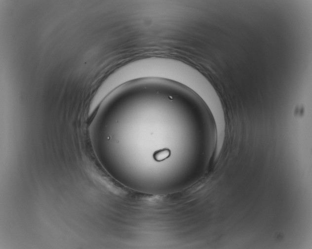 X0000112210092200908211528