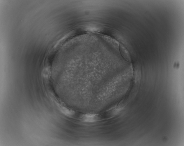 X0000112210093200908211528