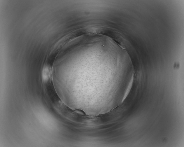 X0000112210095200908211528