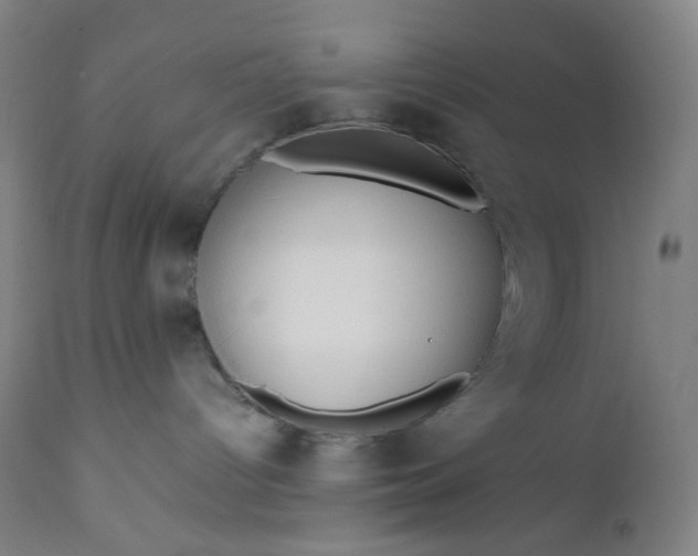 X0000112210096200908211528