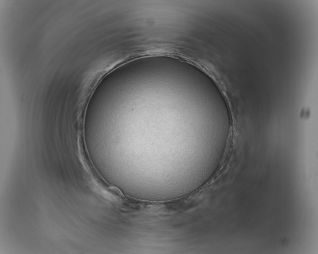 X0000112210097200908211528