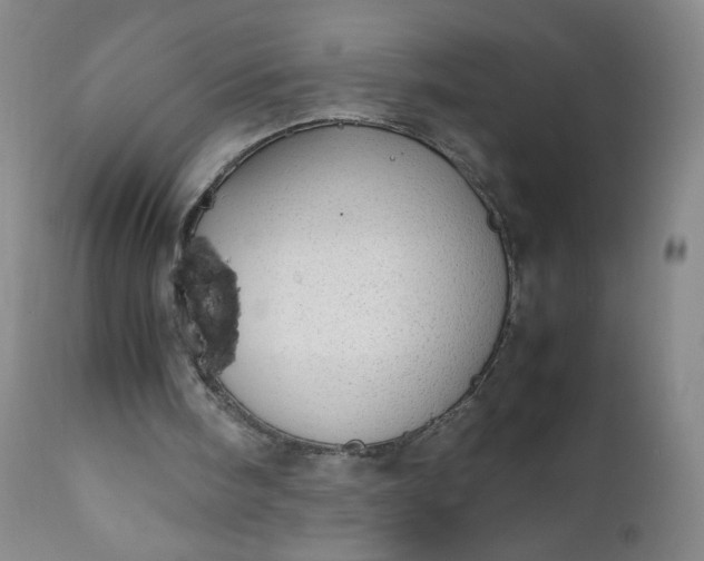 X0000112210098200908211528