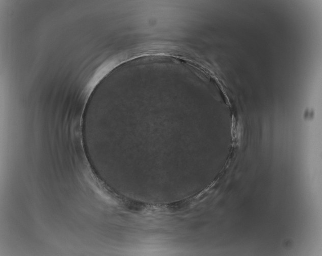 X0000112210099200908211528