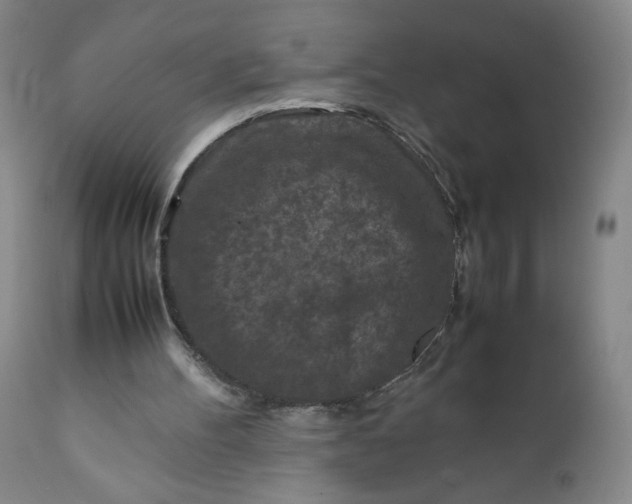 X0000112210100200908211528