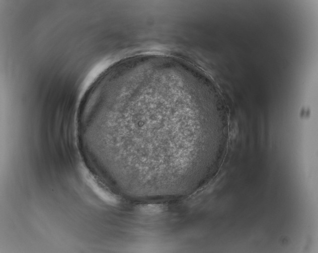 X0000112210102200908211528