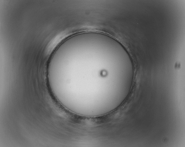 X0000112210103200908211528