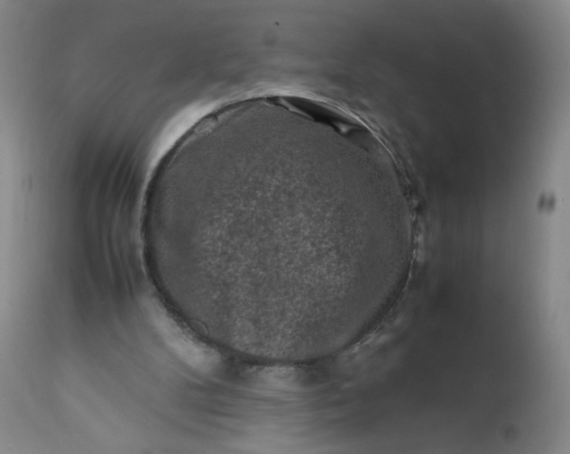 X0000112210104200908211528