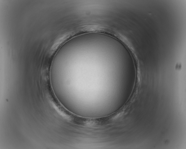 X0000112210105200908211528