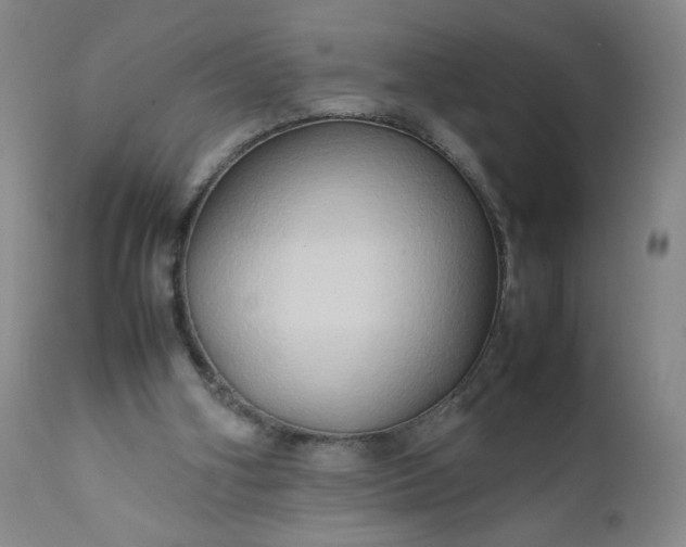 X0000112210106200908211528