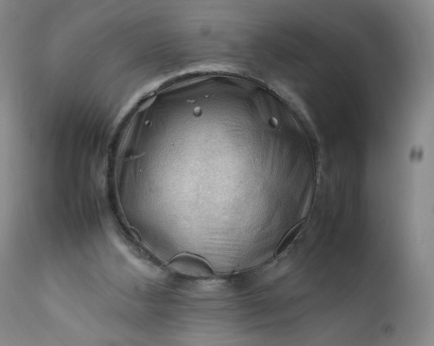 X0000112210108200908211528