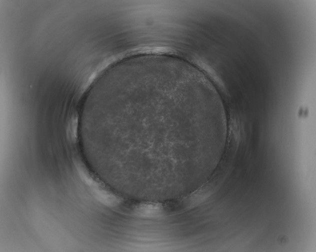 X0000112210110200908211528