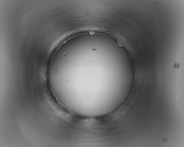 X0000112210112200908211528