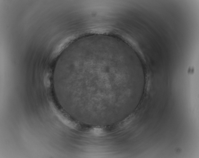 X0000112210114200908211528