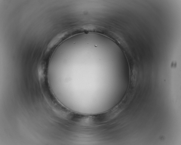 X0000112210116200908211528