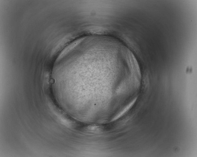 X0000112210117200908211528