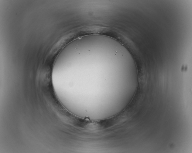 X0000112210119200908211528