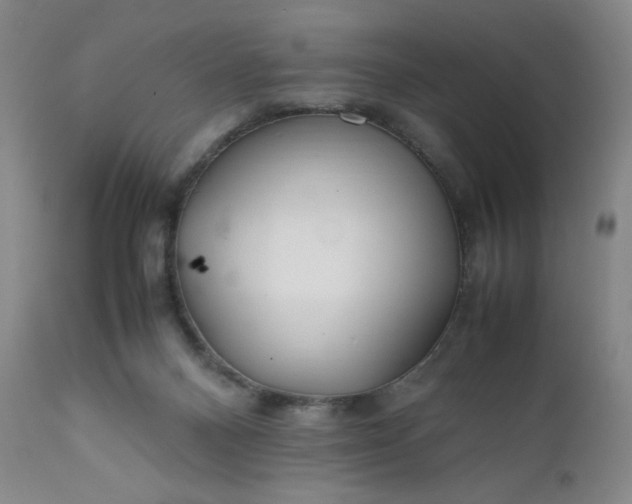 X0000112210120200908211527