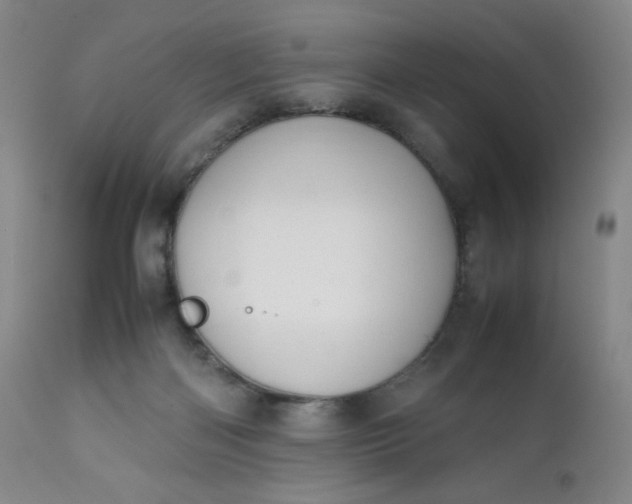 X0000112210122200908211527