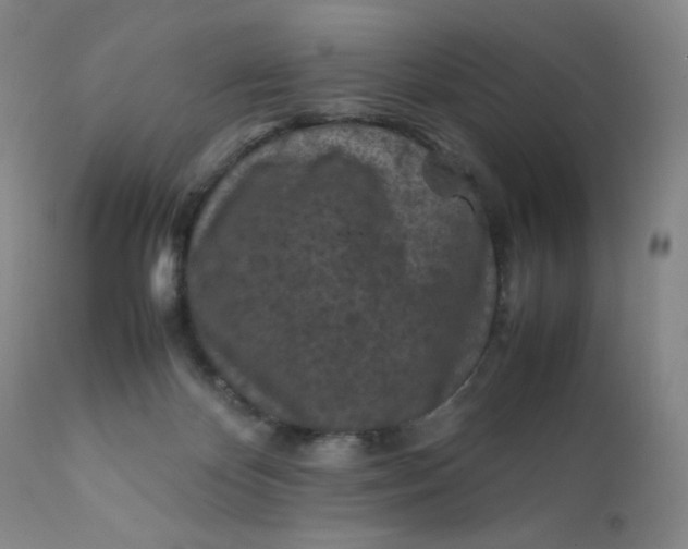 X0000112210124200908211527