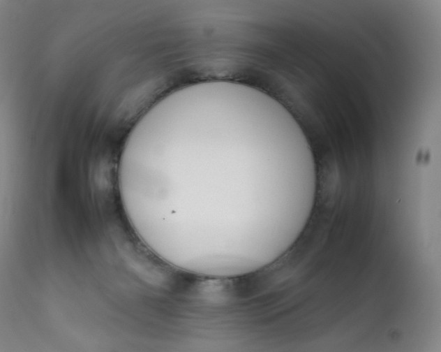 X0000112210126200908211527