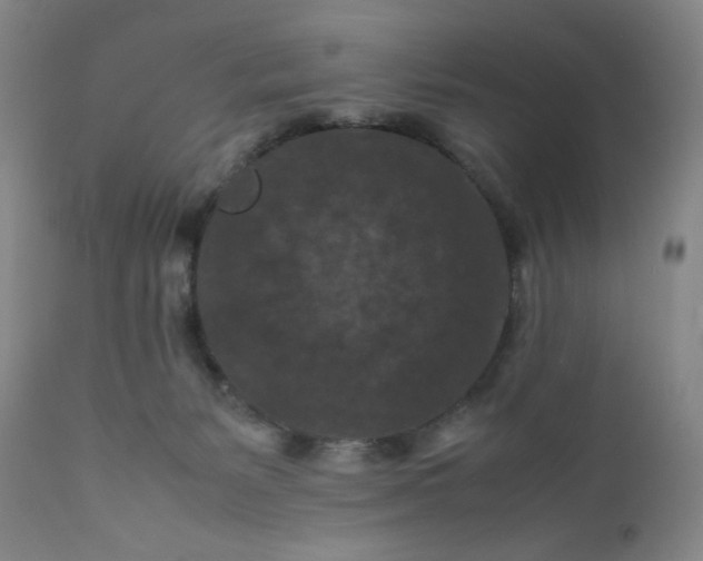 X0000112210127200908211527