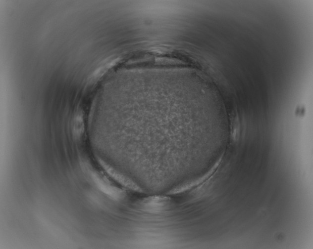 X0000112210128200908211527