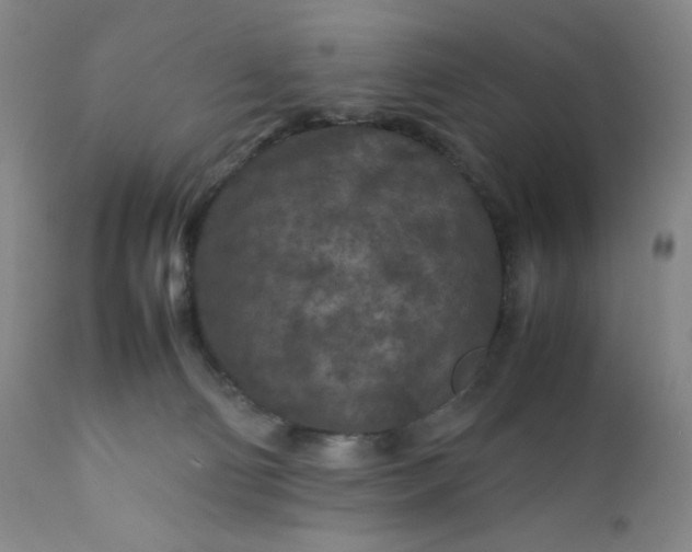 X0000112210130200908211527