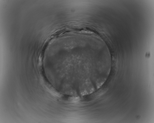 X0000112210131200908211527