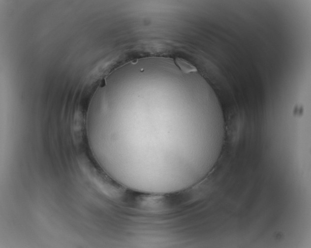 X0000112210132200908211527