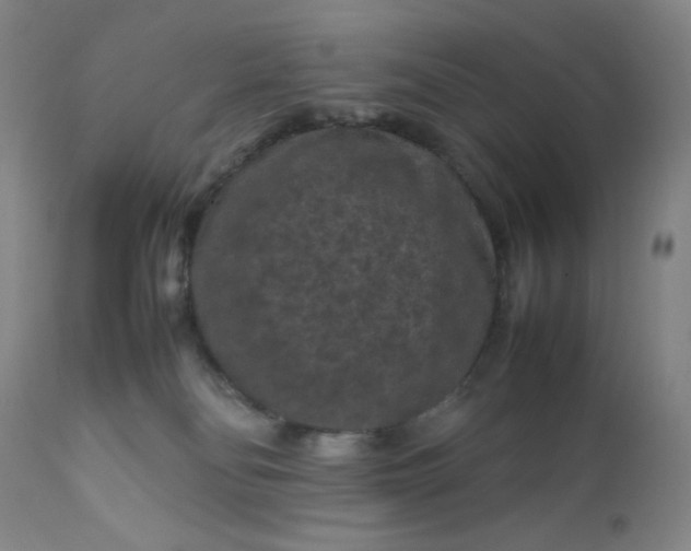 X0000112210134200908211527