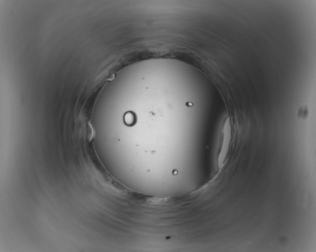 X0000112210136200908211527