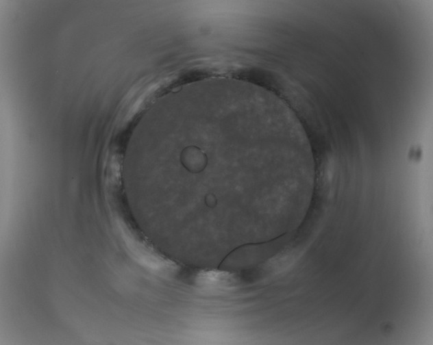 X0000112210137200908211527