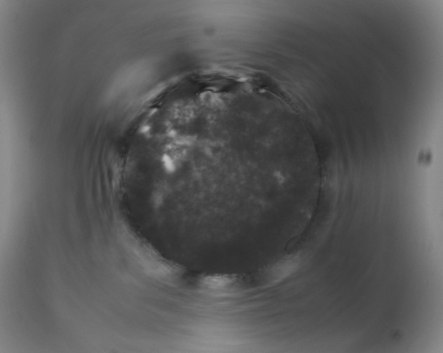 X0000112210139200908211527