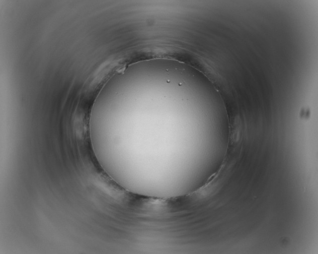 X0000112210140200908211527