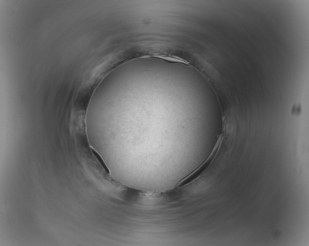 X0000112210141200908211527