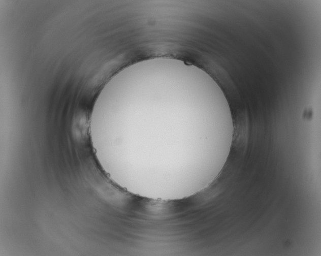 X0000112210142200908211527