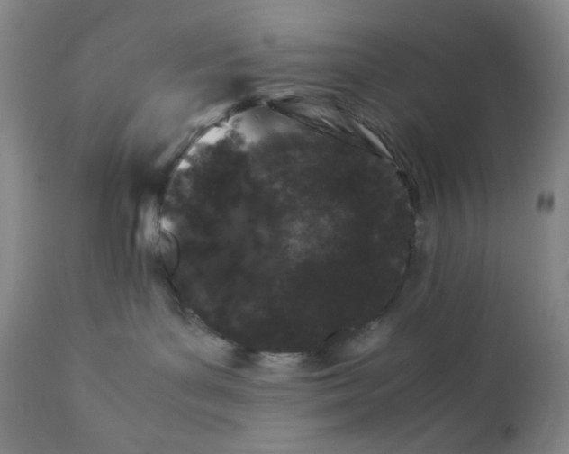 X0000112210143200908211527