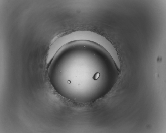 X0000112210144200908211527