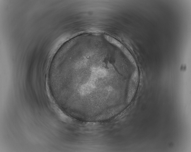 X0000112210145200908211526