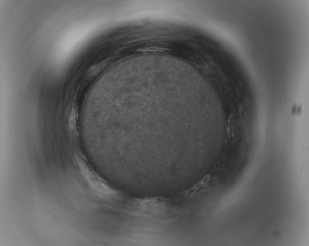 X0000112210146200908211527