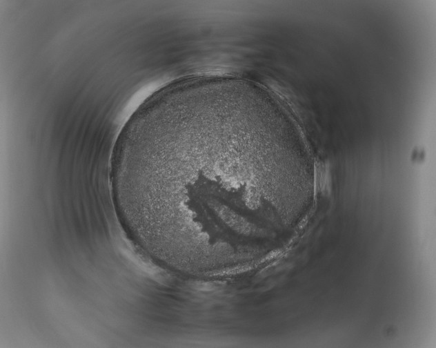 X0000112210147200908211527